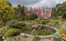 Visit Chelsea Physic Garden