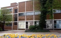 Visit Derby Museum and Art Gallery