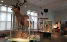 Visit Reading Museum