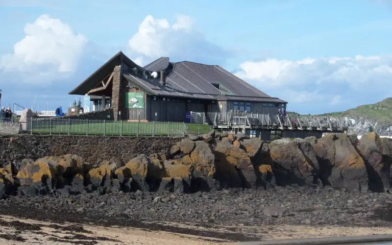 Visit Scottish Seabird Centre